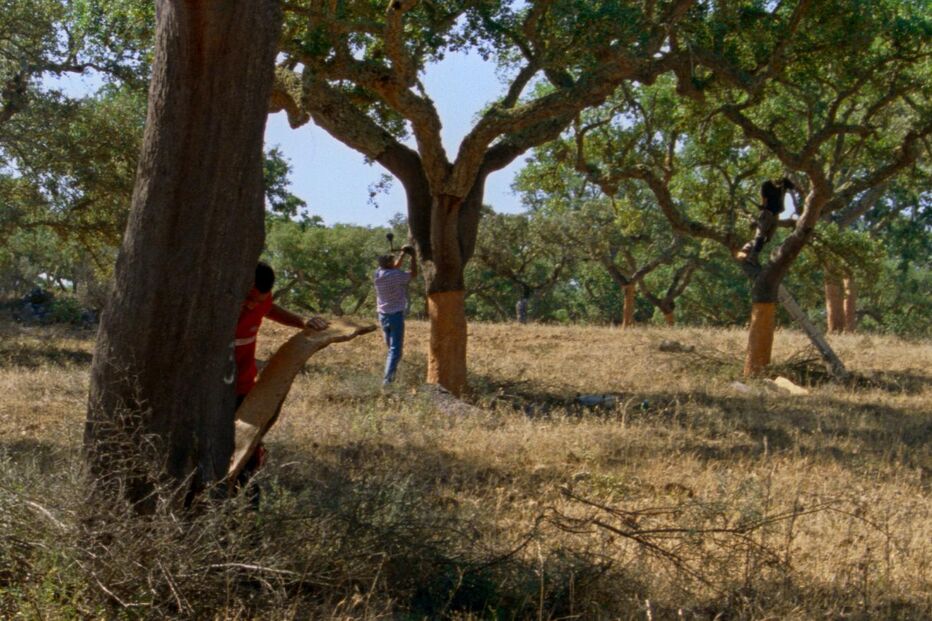 Maureen Fazendeiro fala sobre o seu filme 