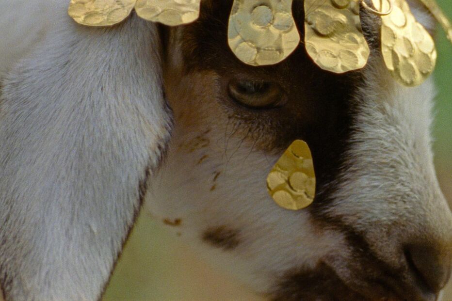 Maureen Fazendeiro reflete sobre cinema enquanto 'As Estações' chega aos cinemas