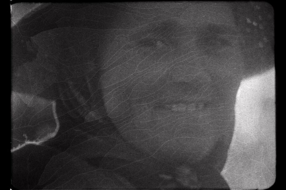 Maureen Fazendeiro garante continuar a fazer filmes, apesar de não ter recebido prémios