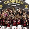 Flamengo osvojil deveti naslov brazilskega prvenstva in ga dodal pokalu Libertadores