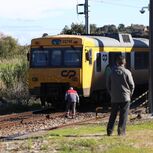 Comboio atropela mortalmente rebanho de 100 ovelhas em Montemor-o-Velho