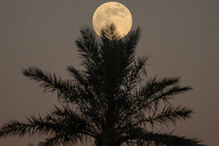 Superlua em Marraquexe