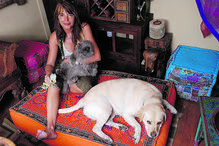 Clara Pinto Correia vivia sozinha há 20 anos e tinha por companhia os seus muito estimados animais de estimação, sobretudo os cães, pelos quais tinha verdadeira adoração