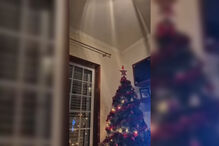 Imagens mostram momentos em que o sismo de Celorico da Beira se fez sentir