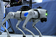 Robô pode transportar carga