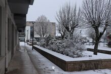 Sim, é mesmo Portugal! Queda de neve ilustra 'postais de Natal' no Norte e Centro do País