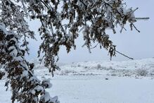Município de Montalegre também acordou pintada de branco
