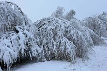 Município de Montalegre também acordou pintada de branco