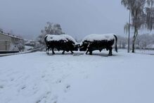 Município de Montalegre também acordou pintada de branco