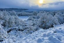 Município de Montalegre também acordou pintada de branco
