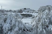 Gralheira, na serra de Montemuro, concelho de Cinfães, acordou cheia de neve