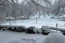 Gralheira, na serra de Montemuro, concelho de Cinfães, acordou cheia de neve