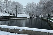 Gralheira, na serra de Montemuro, concelho de Cinfães, acordou cheia de neve