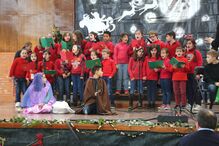 Polémica com Natal nas escolas não trava festejos