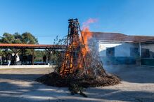 Madeiro de Natal vai ficar aceso até dia 6 de janeiro