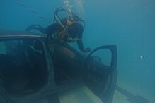 Operação especial ''resgata'' Jaguar… do fundo duma piscina