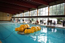 Operação especial ''resgata'' Jaguar… do fundo duma piscina