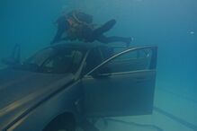 Operação especial ''resgata'' Jaguar… do fundo duma piscina