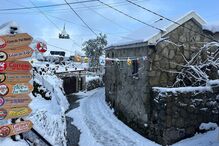 Gralheira: uma aldeia em Cinfães que se transforma num mundo encantado 