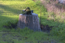 Cachoeira improvisada num tronco de árvore com pedras no topo, num jardim relvado