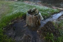 'Há dias em que não se aguenta aqui o cheiro': água e lixo de esgotos inundam campos de cultivo em Guimarães