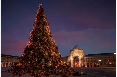  "Vamos Lixar o Lixo" 