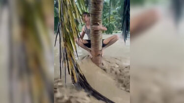 Homens agarram-se a árvores até serem salvos durante cheias na Indonésia 