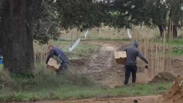 Militares da GNR detidos por exploração de imigrantes no Alentejo regressam ao serviço