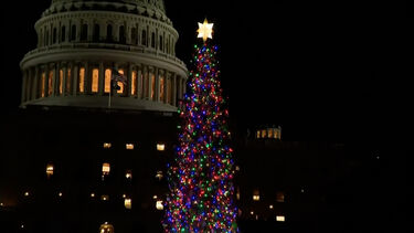 Capitólio acende árvore de Natal de 2025 