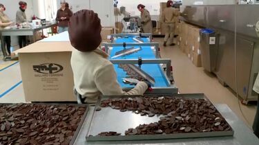 Fábrica em Montemor-o-Novo aumenta produção de chocolates para conseguir satisfazer todas as encomendas 