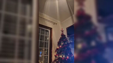 Imagens mostram os momentos em que o sismo de Celorico da Beira se fez sentir