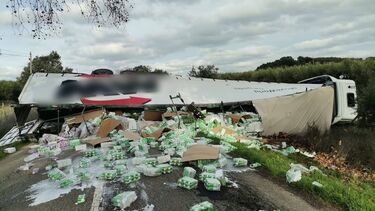 Um ferido após despiste de camião na EN370 em Avis