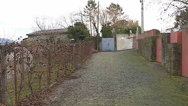 Mulher abriu portão de casa a homicida que a atacou à paulada