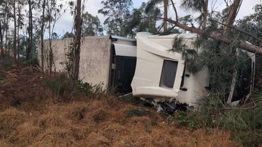 Um ferido após despiste de camião em Estarreja