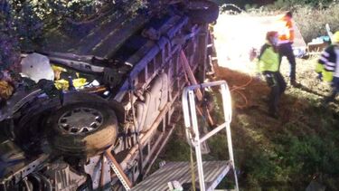 Dois feridos em despiste de carro contra árvore em Anadia