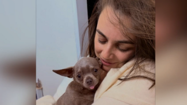 "A adoção é melhor que a compra": Ricardo Azedo sobre novo cão adotado de Ana Guiomar