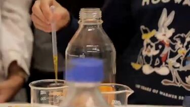 Descubra como foi a grande festa da ciência e o que fazem os investigadores nos seus laboratórios