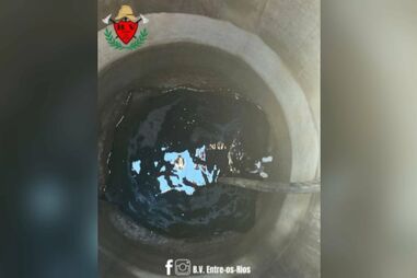 Bombeiros resgatam gato que caiu a poço em Termas de São Vicente