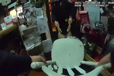 Rena invade loja de Natal e acaba com a cabeça presa numa cadeira 