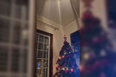 Imagens mostram os momentos em que o sismo de Celorico da Beira se fez sentir