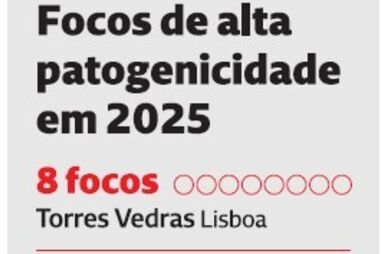 Focos de gripe aviária fazem disparar preço dos ovos