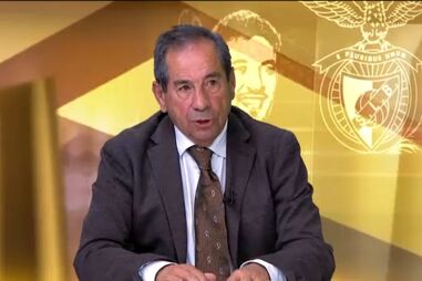 "FC Porto está num bom caminho": Octávio Machado destaca trabalho de Farioli no clube