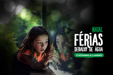 Férias de Natal com vista para o fundo do mar. O Oceanário de Lisboa volta a abrir portas aos mais novos