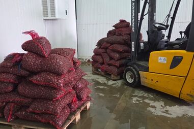 Polícia Marítima e ASAE realizam ação de fiscalização conjunta