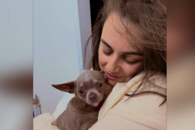 "A adoção é melhor que a compra": Ricardo Azedo sobre novo cão adotado de Ana Guiomar