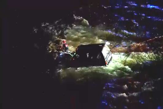 Bombeiros de São Pedro da Cova e de Gondomar foram acionados para o local