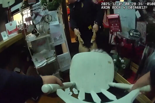 Rena invade loja de Natal e acaba com a cabeça presa numa cadeira 