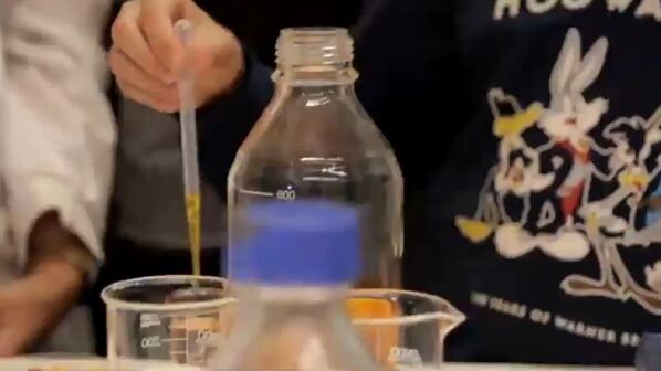 Descubra como foi a grande festa da ciência e o que fazem os investigadores nos seus laboratórios