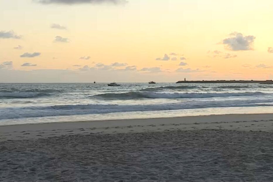 Baleia encontrada morta na praia de Maceda