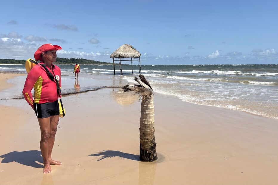 O nadador-salvador tem agora menos trabalho. já que há menos turistas. Na imagem está ao lado de um tronco de uma árvore de fruto. Agora está tomado pela água do mar. 
